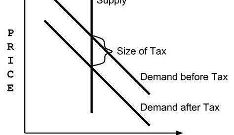 Perfectly Inelastic Supply Curve Tax Burden Elasticity Of Demand And Factors Influencing