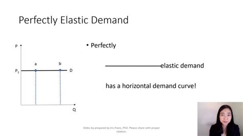 Perfectly Elastic Equation: Simple Explained!