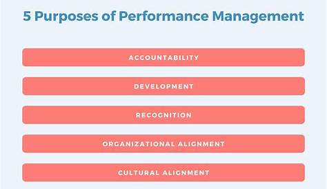 Pilat's Performance Management Model. Pilat does not