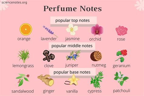 Perfume Notes Examples