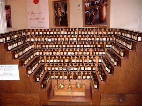 Perfume organ