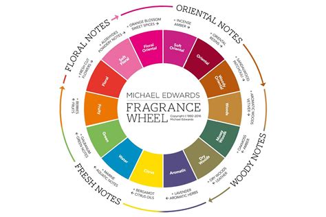 Perfume Under Category