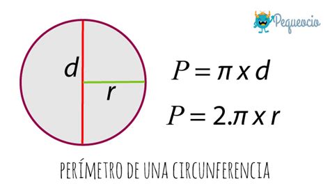 👉 Como sacar el PERIMETRO de un CIRCULO Perimetro de un Circulo YouTube