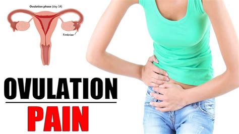 period pain during ovulation