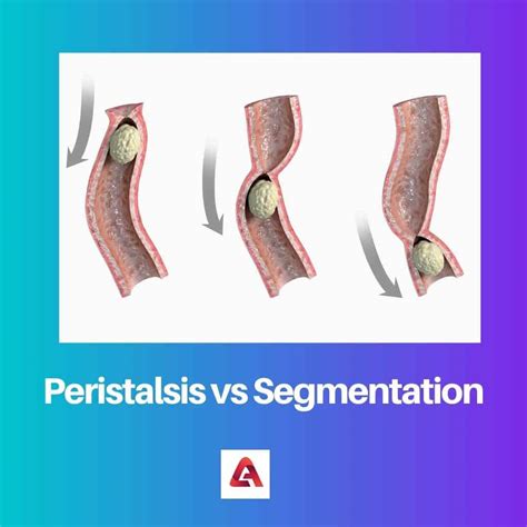 peristaltika