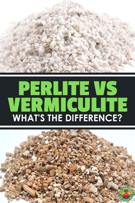 Vermiculite vs Perlite What's the Difference? Completely Explained
