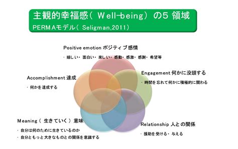 Perma Profiler Expert Guide