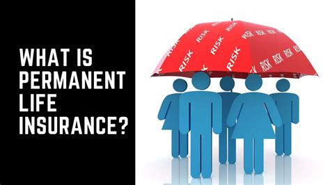 What is Permanent Life Insurance? Guide]