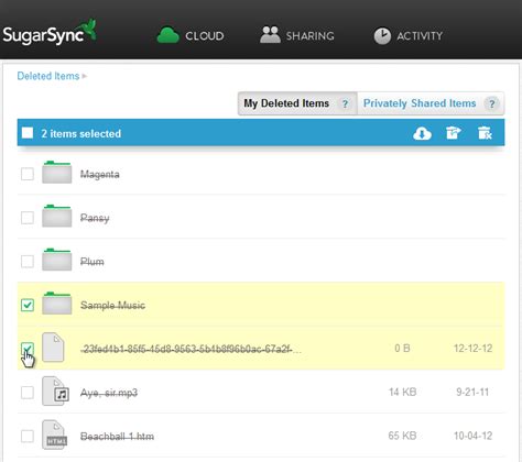 Permanently Delete Sugarsync