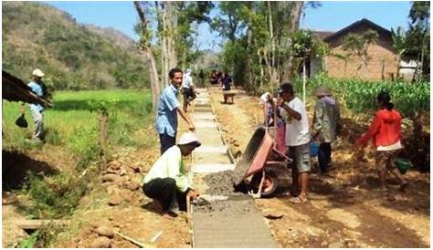 Jokowi: Pemekaran Wilayah di Papua untuk Pemerataan Pembangunan – Nalar.ID