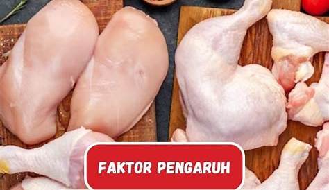 Kekalahan Indonesia di WTO dan Polemik Impor Daging Ayam