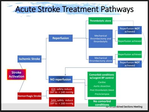 Understanding Permissive Hypertension Range: When High BP is Allowed