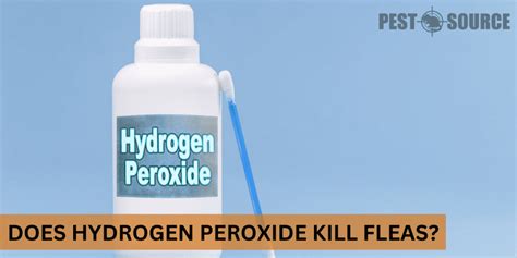 peroxide for fleas