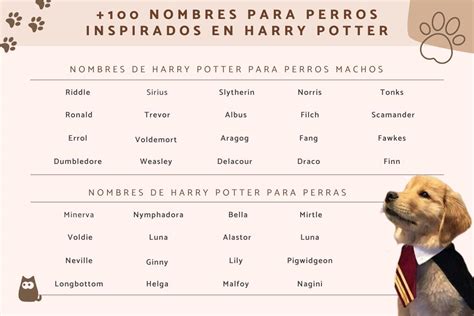 12 nombres para perros inspirados en Harry Potter
