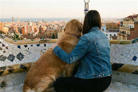 5 cosas que tienes que hacer en Barcelona si tienes perros Barcelona