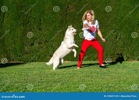 Perro Ayudante: Innovadora Estrategia para la Intervención en Emergencias