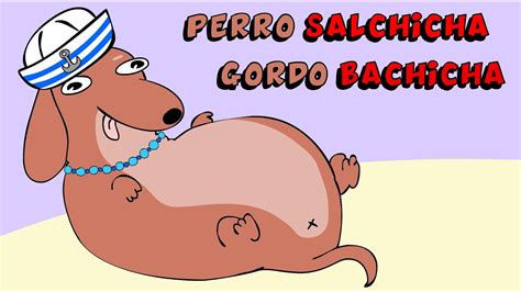 perro salchicha gordo bachicha italiano