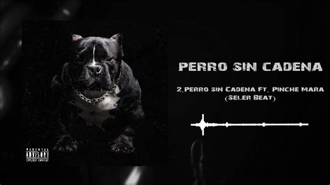 Perro Sin Cadena Letra