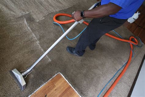 Perry Carpet Cleaner