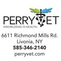 Top Perry Vet Services: Expert Animal Care