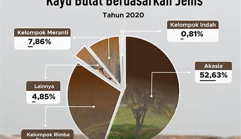 Menilik Sebaran Produksi Kayu Bulat di Indonesia