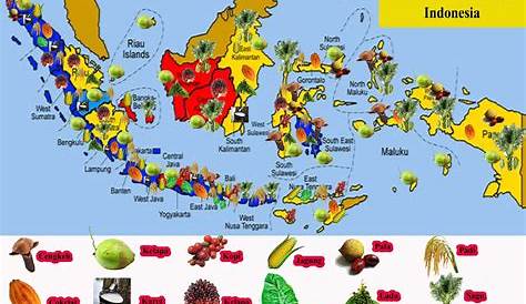 Gambar Illobanditz Peta Persebaran Hasil Perkebunan Gambar Indonesia di
