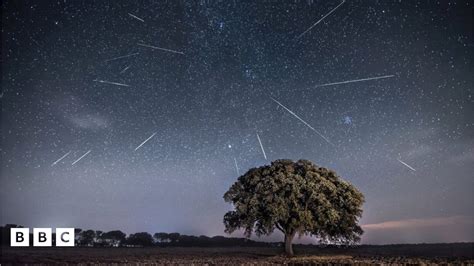 perseid meteor shower 2023 colorado springs