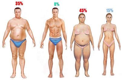 persentase lemak tubuh