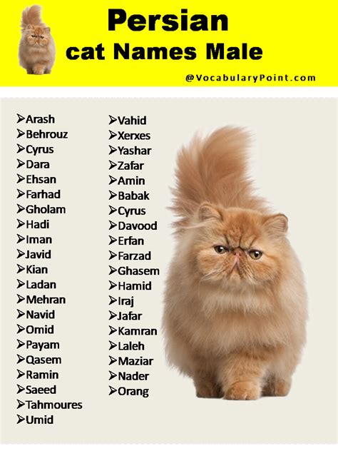 Persian Cat Names
