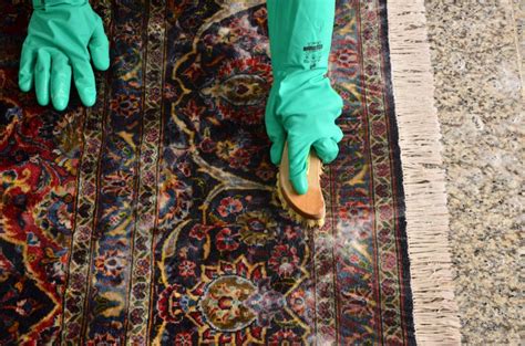 persian rug cleaning solution