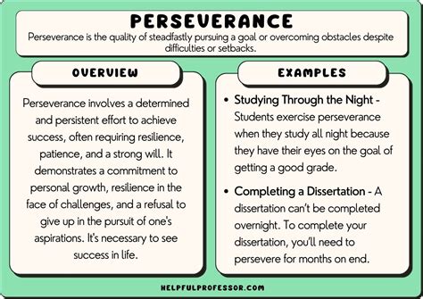persistence meaning in english with example