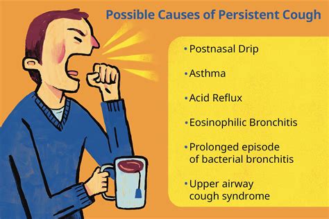 persistent cough with phlegm no fever