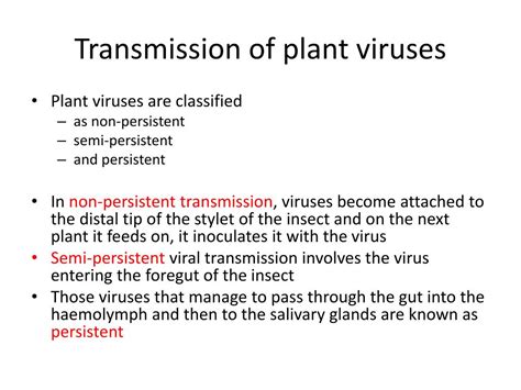 persistent virus example in plants