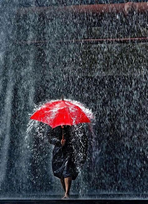 Person Holding Umbrella in the Rain