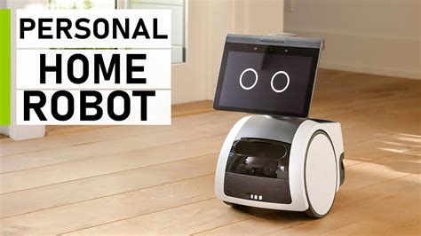 Personal Home Use Robots