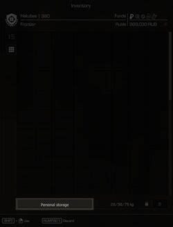 Personal Storage Stalcraft