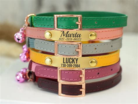 Personalized Cat Collar