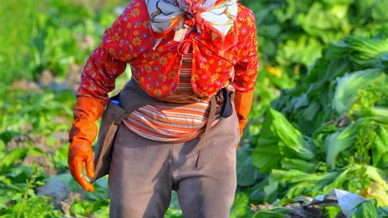 Wawasan Inovatif dan Penemuan Baru dalam Pertanian Wanita