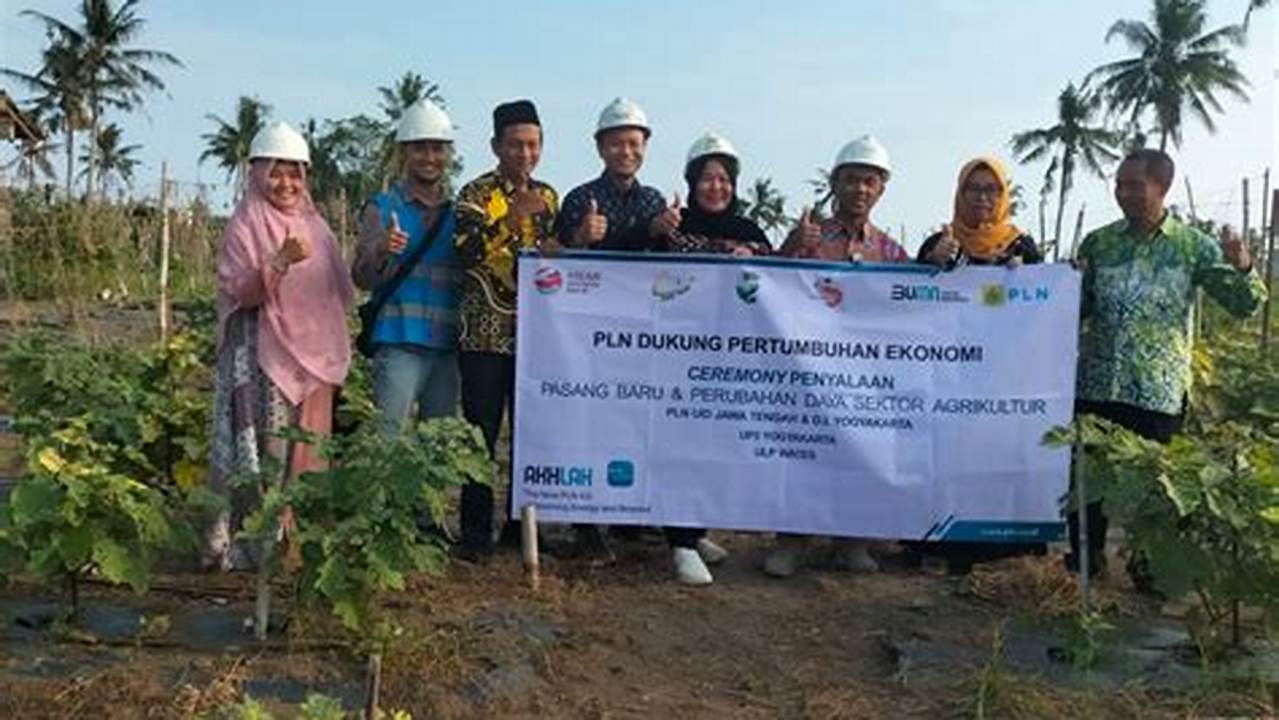 Pertanian Wates Kulon Progo: Penemuan dan Wawasan Menjanjikan