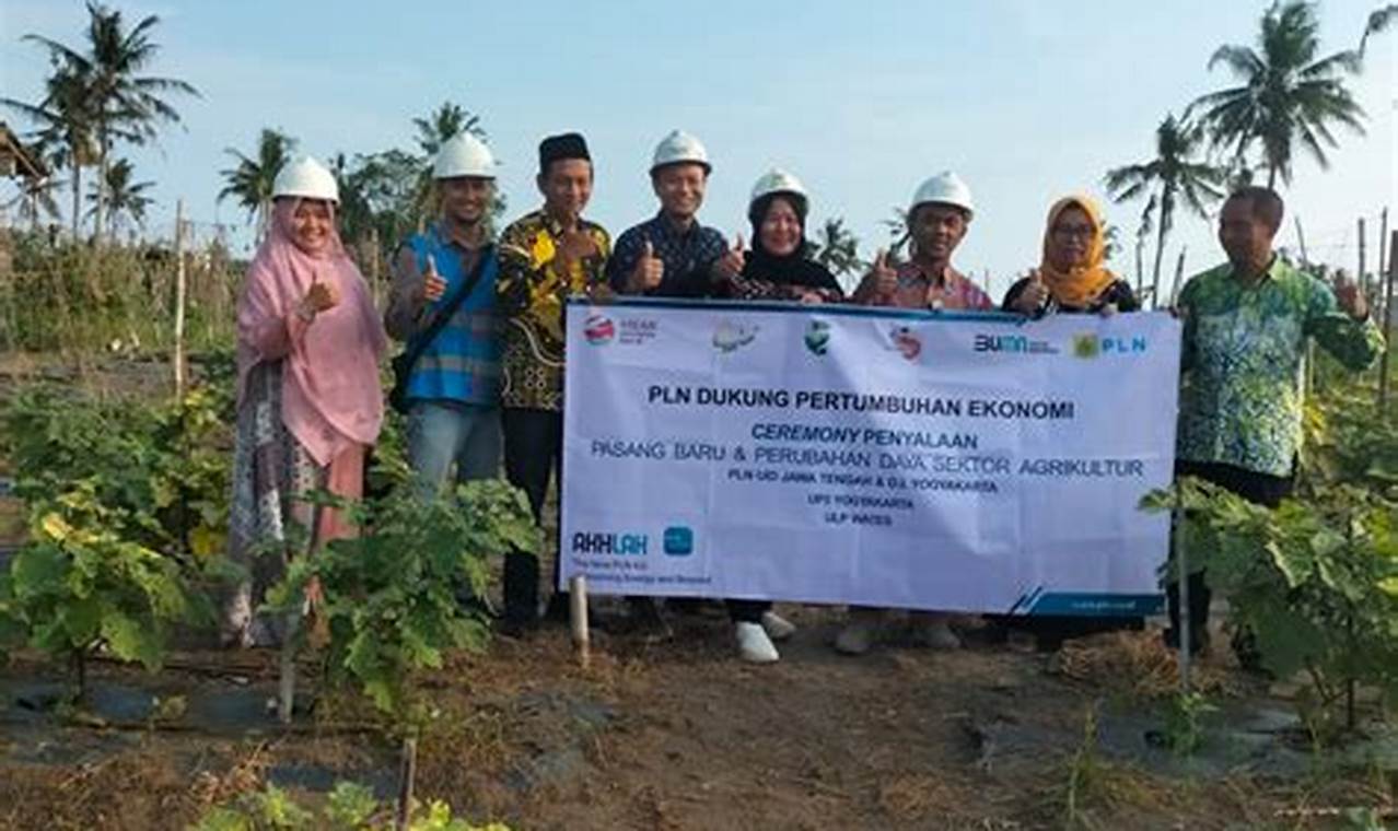 Pertanian Wates Kulon Progo: Penemuan dan Wawasan Menjanjikan