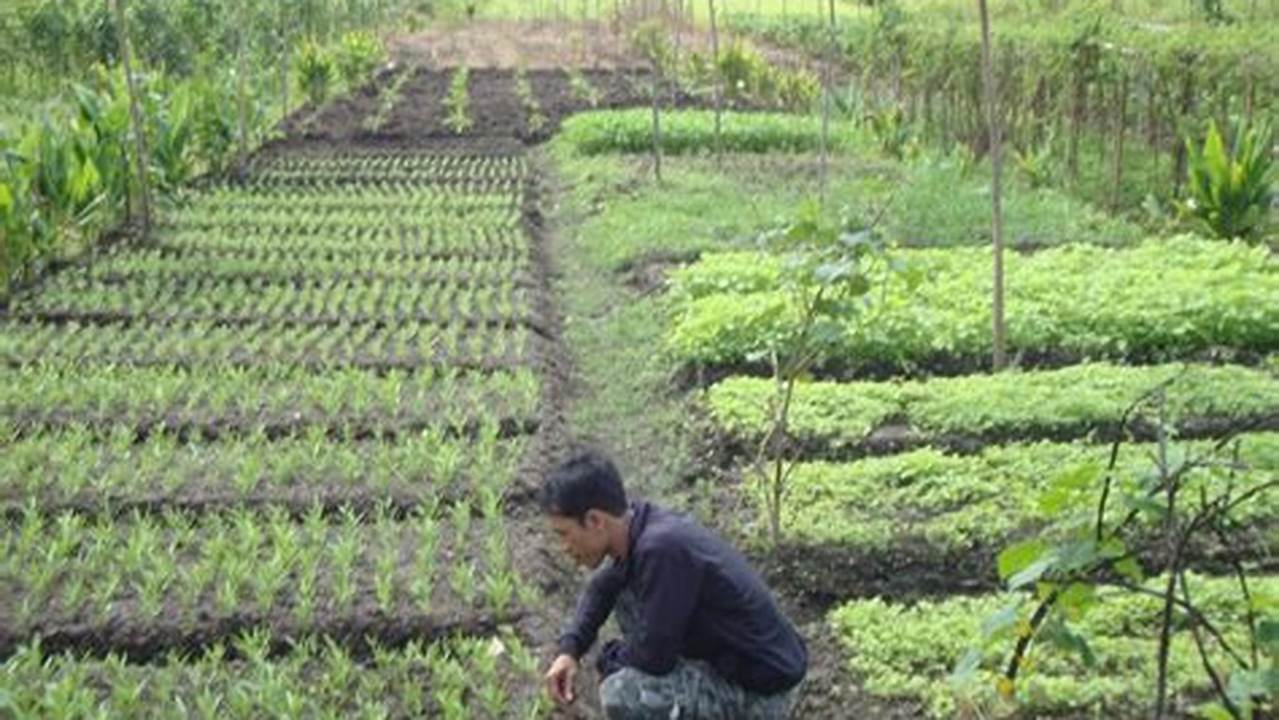 Pertanian Indonesia: Penemuan dan Wawasan yang Menjanjikan