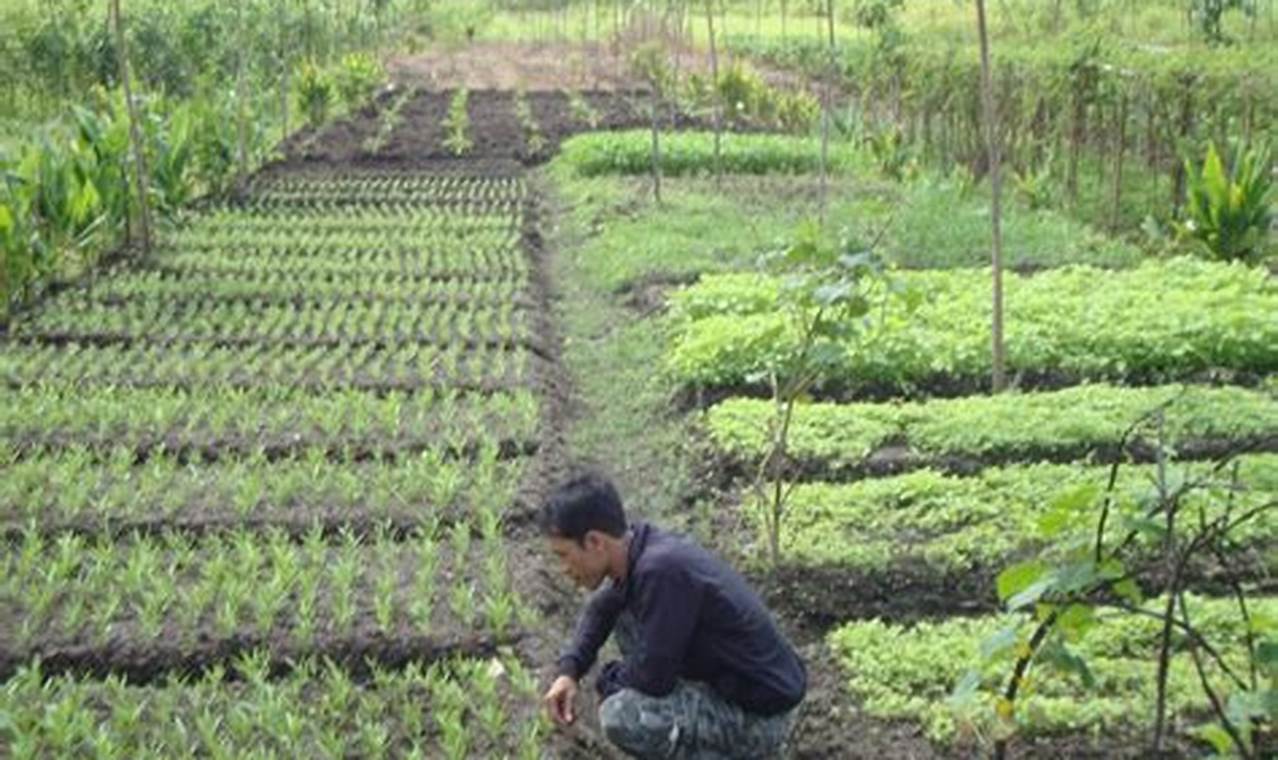 Pertanian Indonesia: Penemuan dan Wawasan yang Menjanjikan
