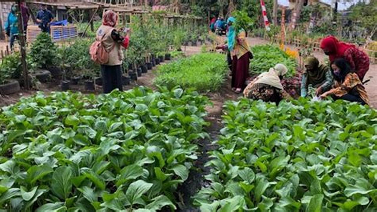 Pertanian Yogyakarta: Rahasia Sukses dan Inovasi yang Menjanjikan