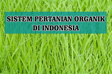 pertanian organik di indonesia