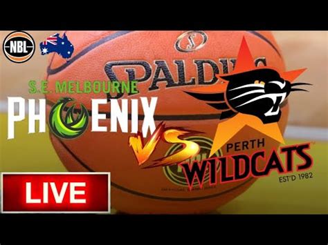 perth wildcats live basketball scores