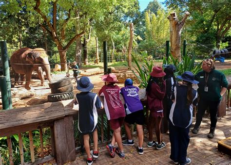 Perth Zoo Accessibility