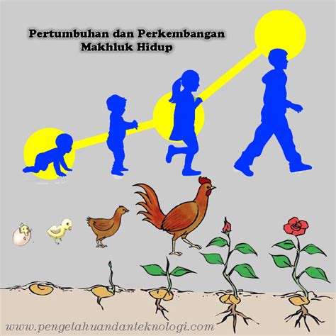pertumbuhan dan perkembangan makhluk hidup indonesia