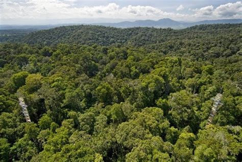 perubahan fungsi kawasan hutan