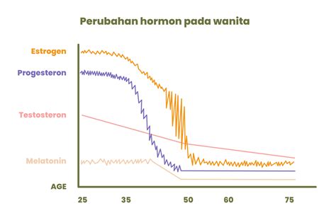 Perubahan Hormonal in Indonesia