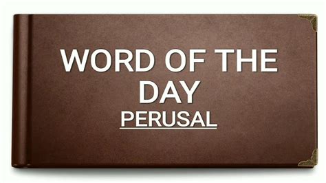 perusal meaning in english synonyms